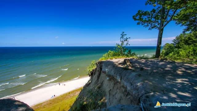 Jastrzębia Góra: Atrakcje dla każdego klify, plaże, Rozewie i nie tylko!