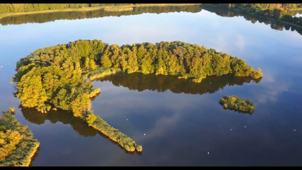 Stawy Milickie: Co robić? Przewodnik po atrakcjach Doliny Baryczy